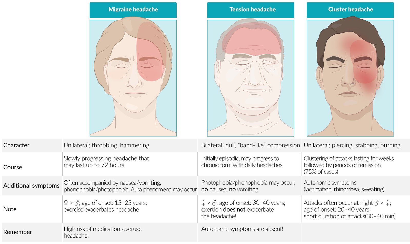Nervous System · A Medical Journey
